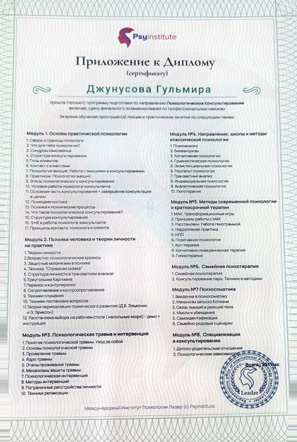 Приложение к диплому: Программа из 8 модулей, 301 час